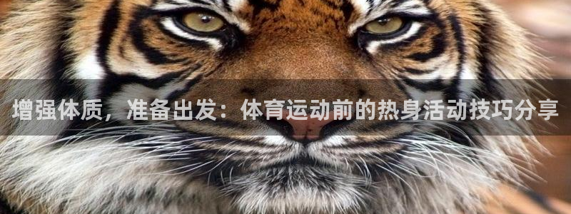 中欧体育网页版