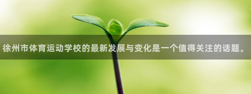 中欧体育(zoty)官网