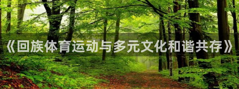 中欧体育平台