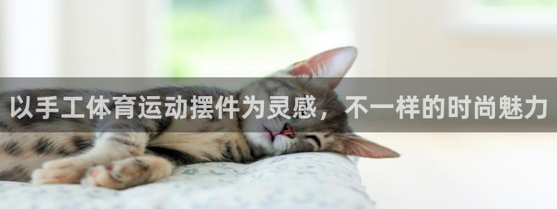 zoty中欧体育平台
