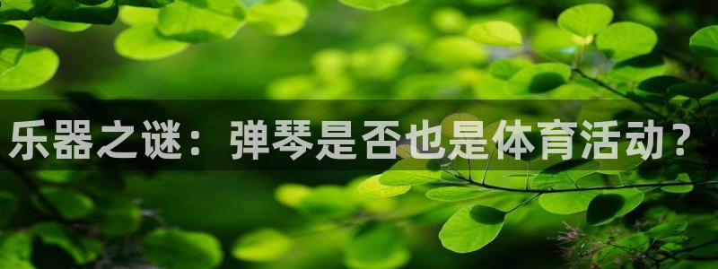 中欧体育网页登录