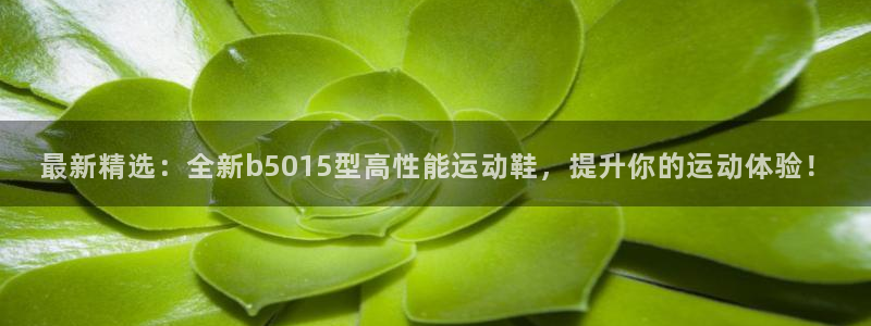 中欧体育