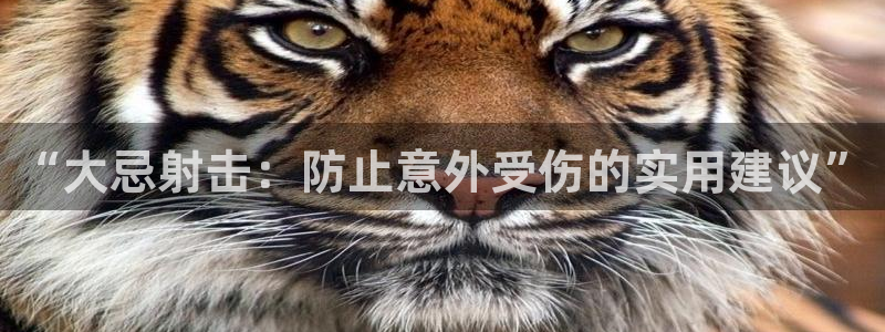 中欧体育登录