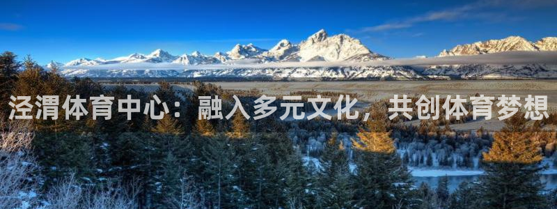 中欧体育zoty下载