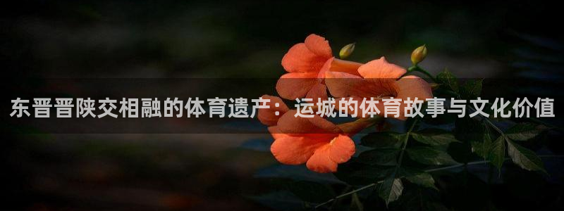 zoty中欧体育网址多少