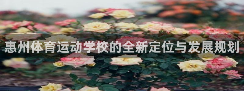 zyty中欧体育平台