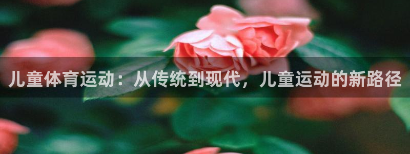 中欧体育网页登录