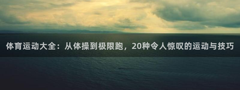 中欧体育下载