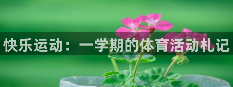 中欧体育(zoty)官网